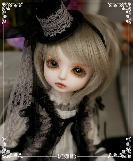 ROSEN LIED】 限定DOLLお披露目01 : 147cm ＊いちよんなな＊
