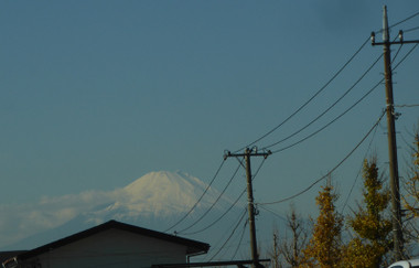002cc882.jpg