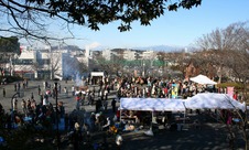 0170ed90.jpg