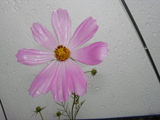 022232f5.jpg