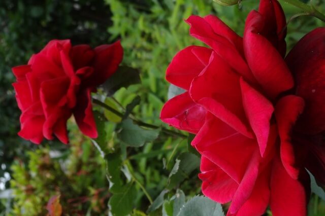 Dsc00151ts Dsc00151ts