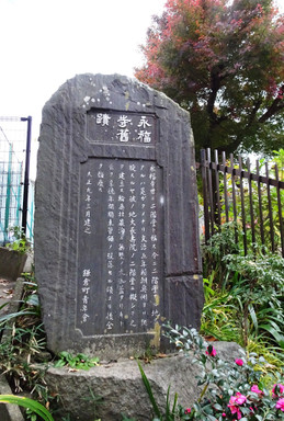07d50de0.jpg