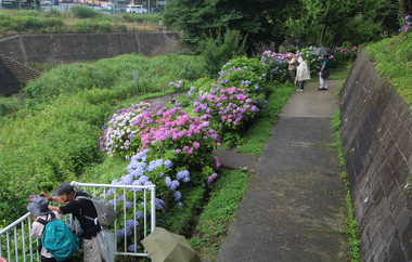 08470b00.jpg
