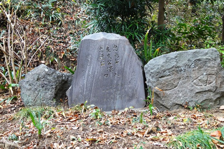 086e6195.jpg