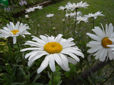 094d7335.jpg