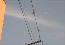 0a27e730.jpg