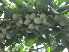 0aa83058.jpg