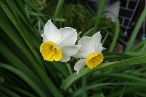 DSC00314