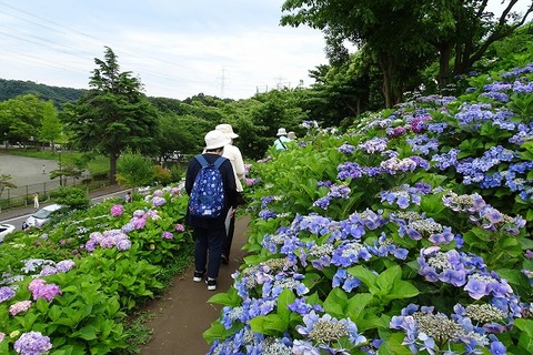 DSC04785