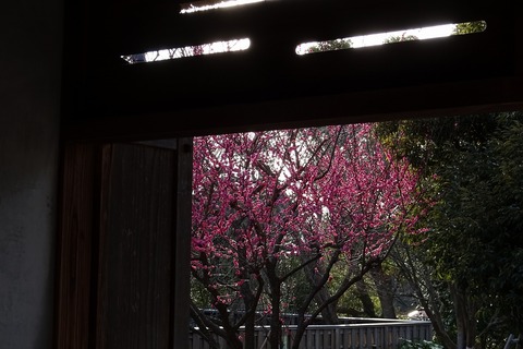 DSC09778