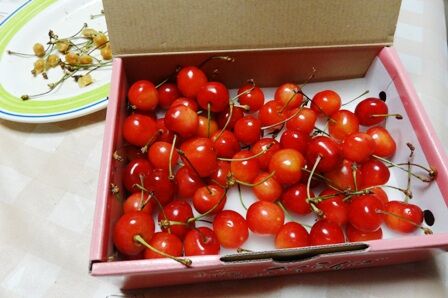 Tsdsc09607 Tsdsc09607