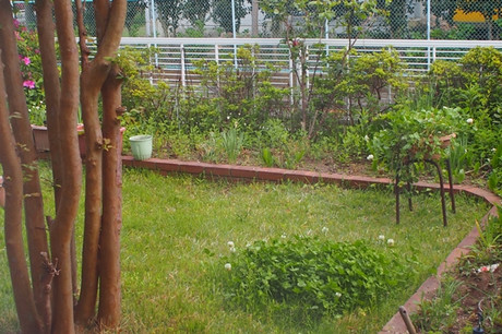 101e1523.jpg