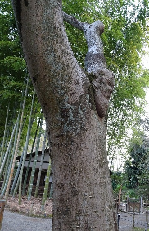 DSC05510