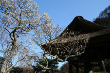 120a0412.jpg