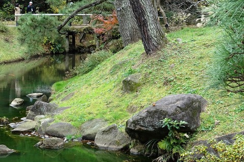 t_DSC03858