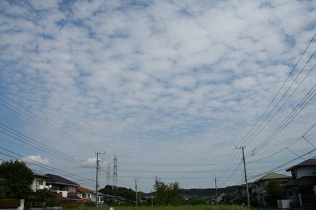 128fcf97.jpg