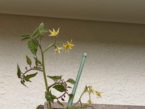 DSC_1851