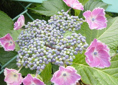 140331eb.jpg