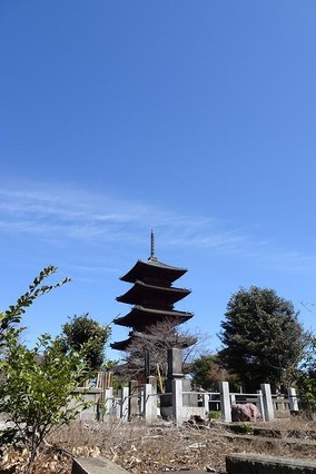 s-DSC00671