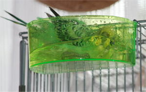 158f8b81.jpg