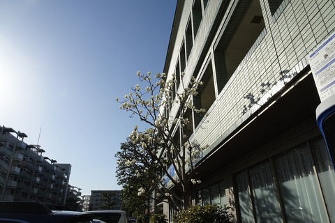 DSC00197