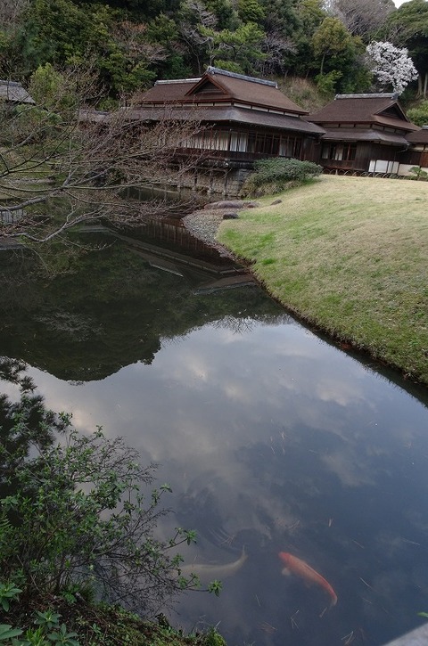 DSC05516