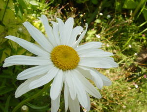 1aa027f7.jpg