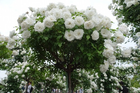 DSC00187