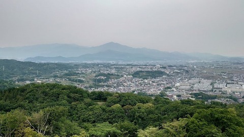 DSC_4976 (2)
