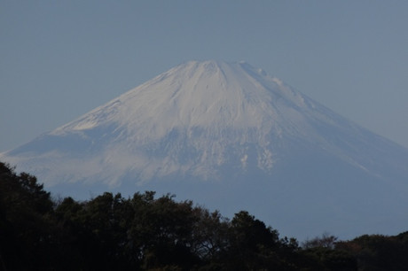 20f9cd20.jpg