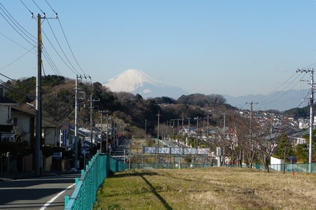 21739b1f.jpg