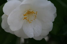 217477eb.jpg