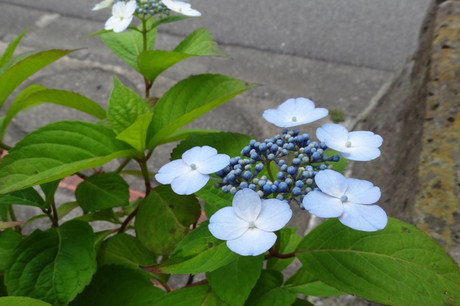 22dc81df.jpg