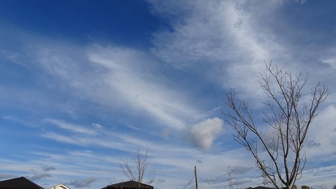 DSC09068