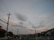 25a66cf7.jpg