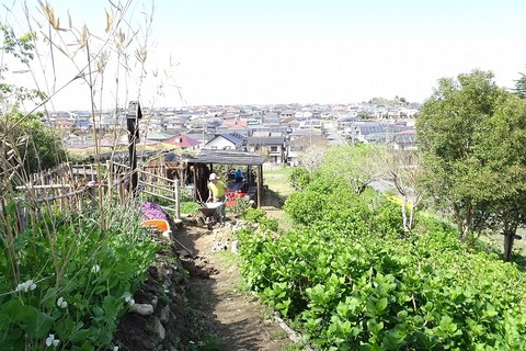 DSC09775