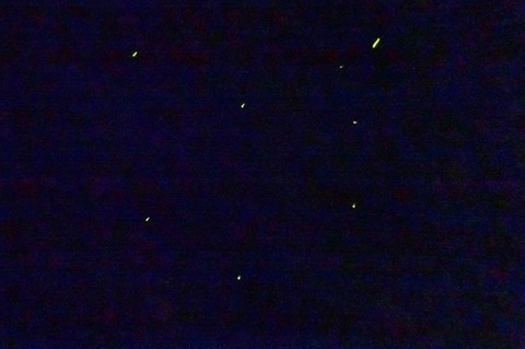 DSC00987_th