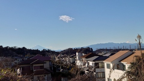 s_DSC_7534