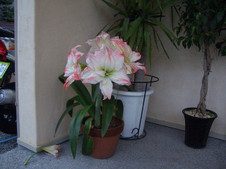 2c95b0bc.jpg