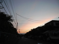 2e094133.jpg