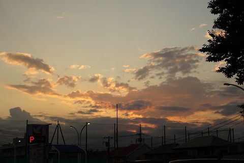 DSC04895