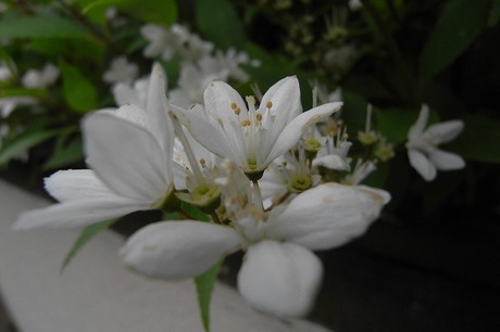 2f0a30a0.jpg
