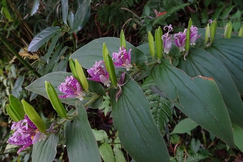 aDSC07043