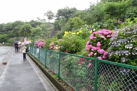 DSC01113