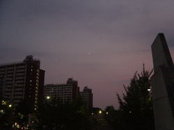353b247c.jpg