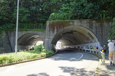 s-DSC09847