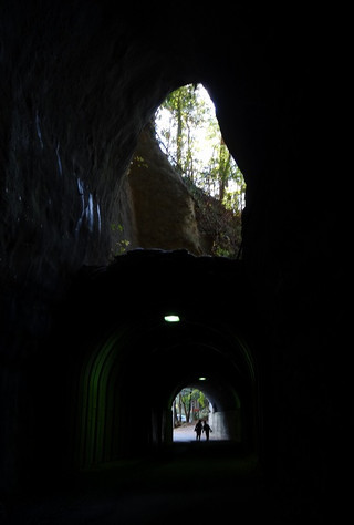 373a2f0c.jpg