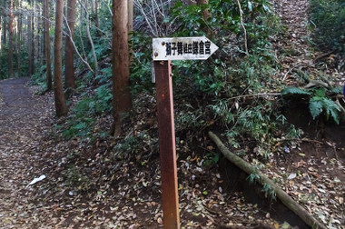 37439215.jpg