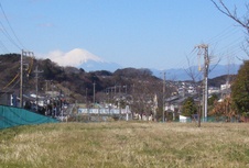 375de887.jpg