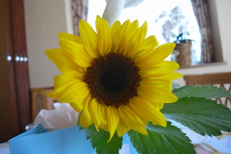 39149317.jpg